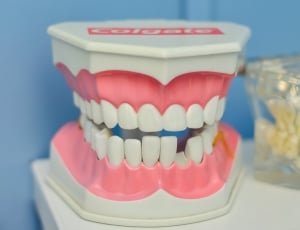 white and pink dentures thumbnail