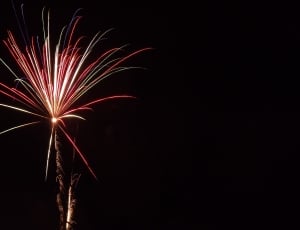 red and white firecracker thumbnail
