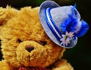teddy bear with blue hat thumbnail