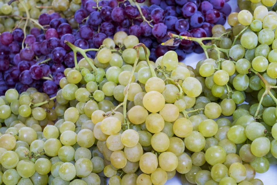 Fruit, Wine, Grapes, Vineyard, Vineyards, food and drink, freshness preview