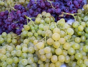 Fruit, Wine, Grapes, Vineyard, Vineyards, food and drink, freshness thumbnail