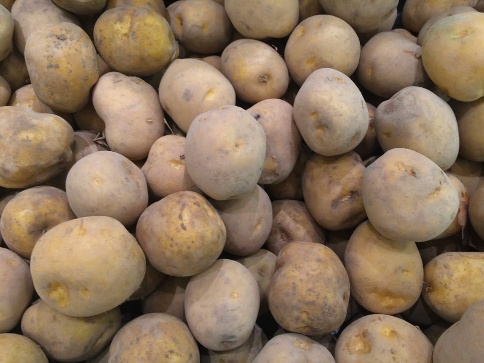 brown potato balls preview