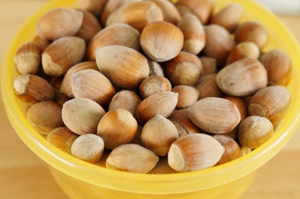 brown acorns in bowl preview