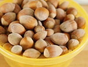 brown acorns in bowl thumbnail