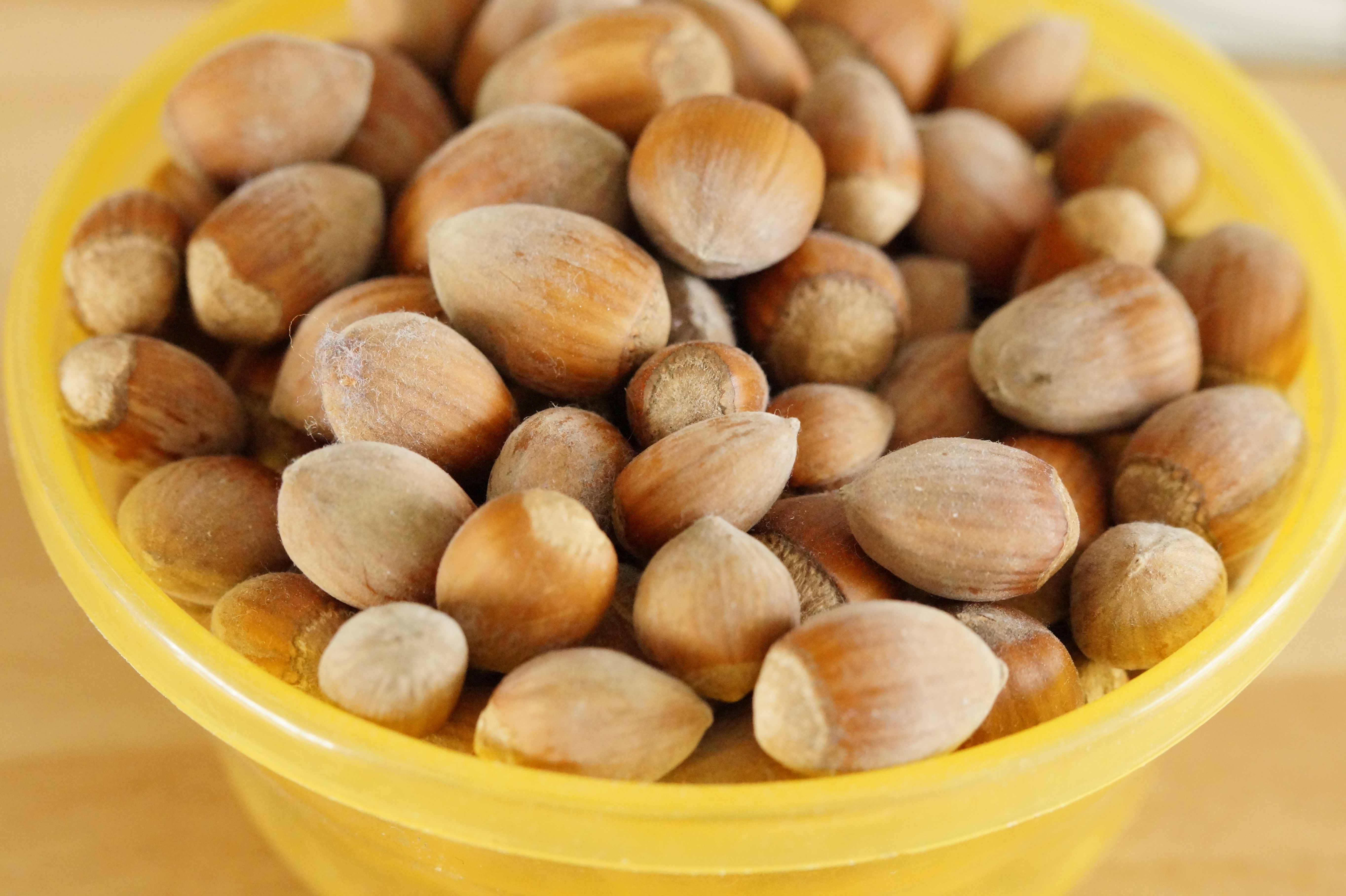 brown acorns in bowl