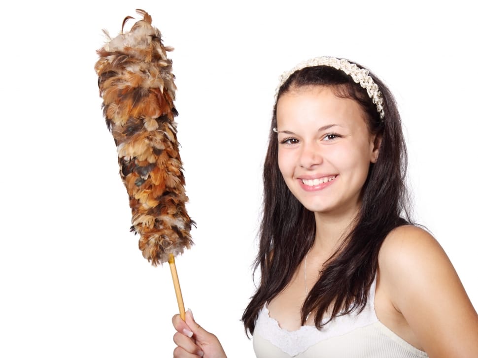 woman holding feather dust preview