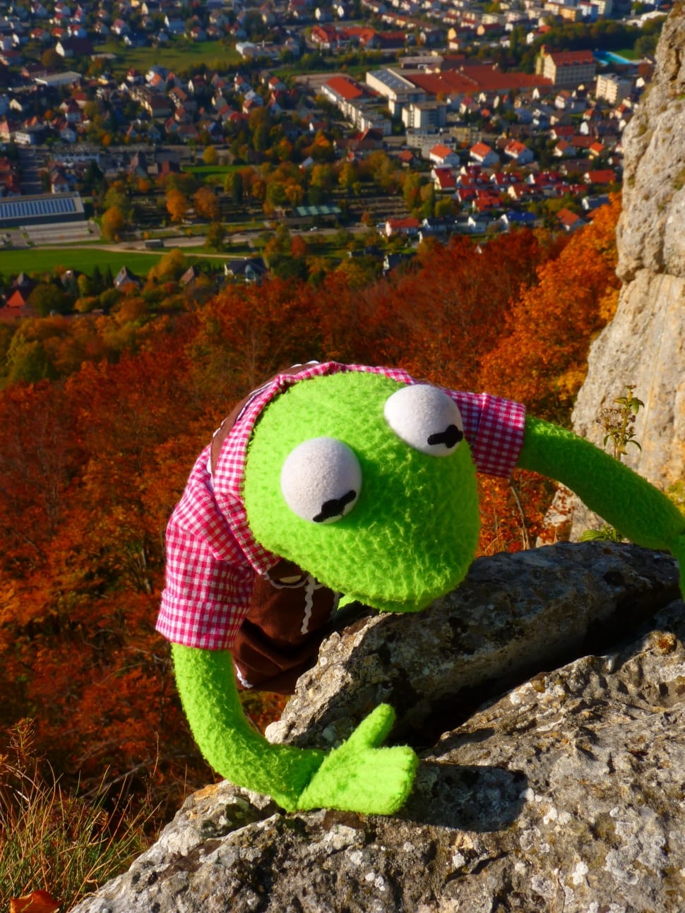 Kermit the frog plush toy on top of rock formation preview