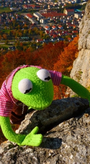 Kermit the frog plush toy on top of rock formation thumbnail