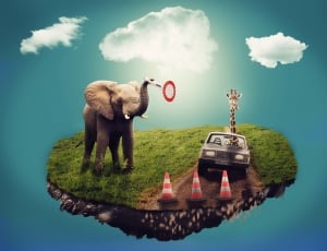 elephant, gray car and traffic cones edited photo thumbnail