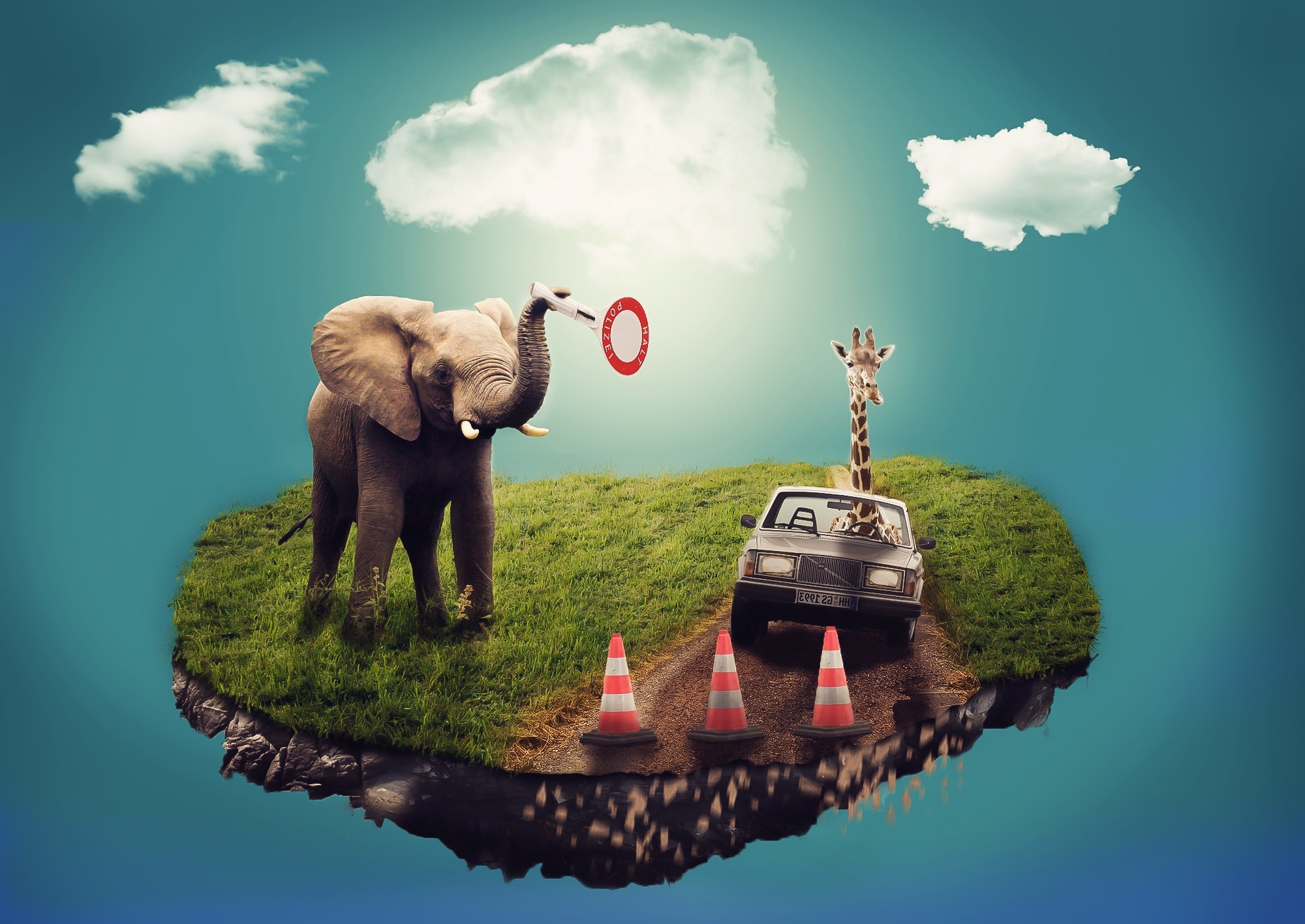elephant, gray car and traffic cones edited photo