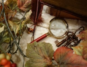red and grey magnifying glass thumbnail