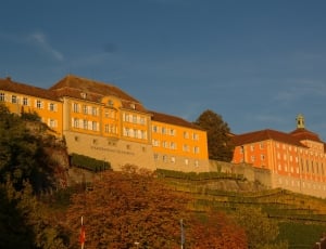 orange and brown conrete mansion on mountain  during daytme thumbnail