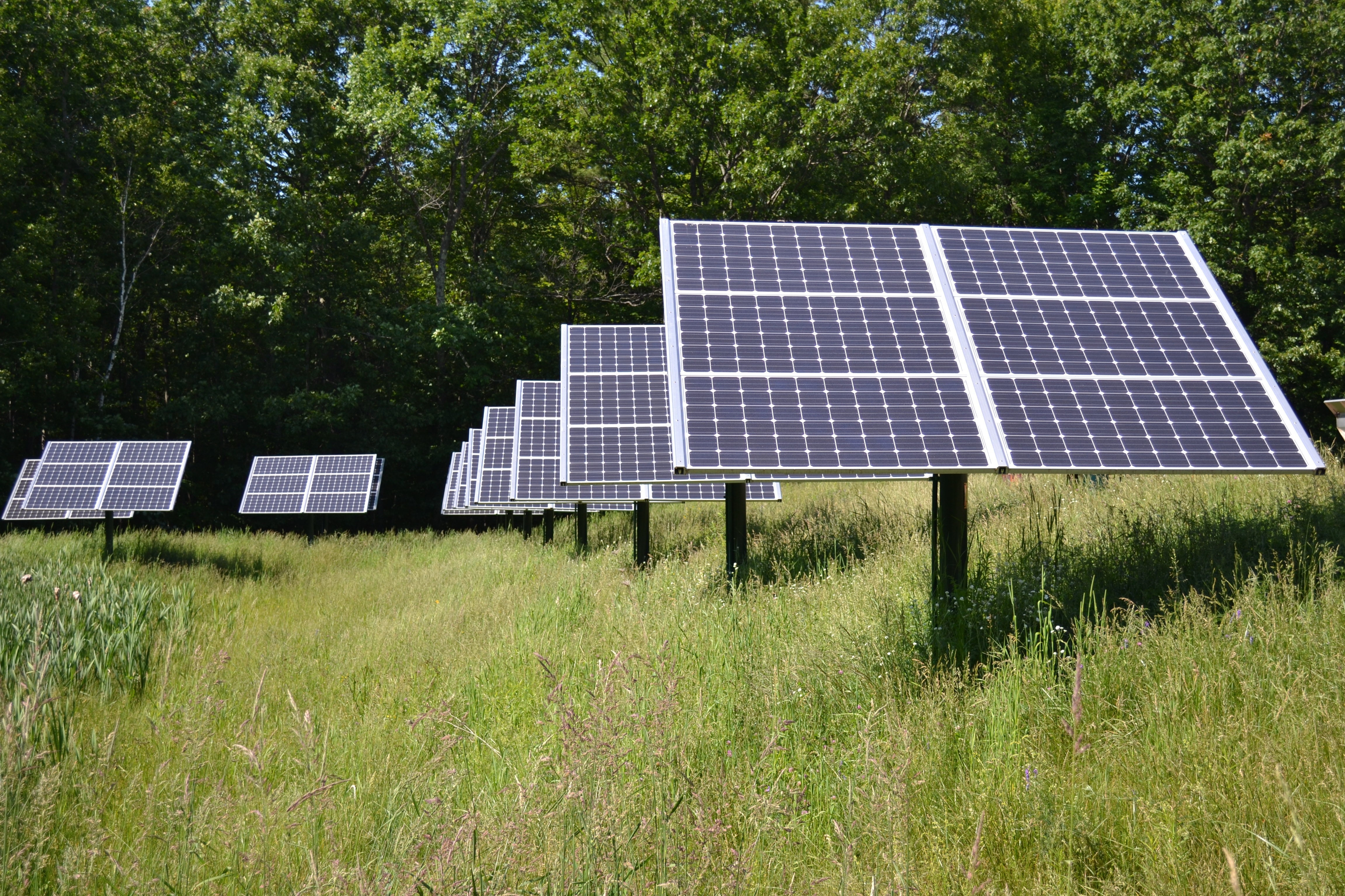 Solar Panel Boards on green grass field during daytme