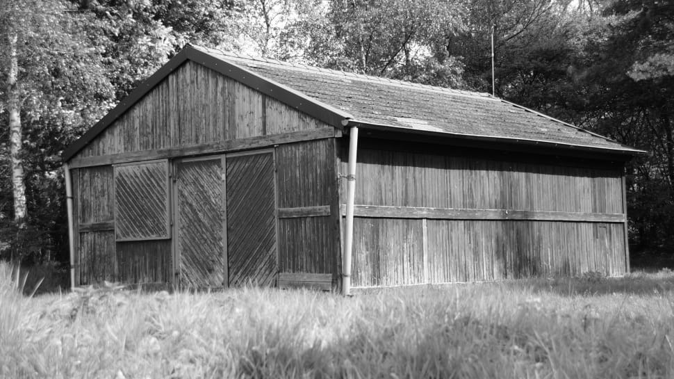 grayscale photography of brown wooden house surrounded by trees preview