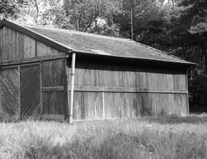 grayscale photography of brown wooden house surrounded by trees thumbnail