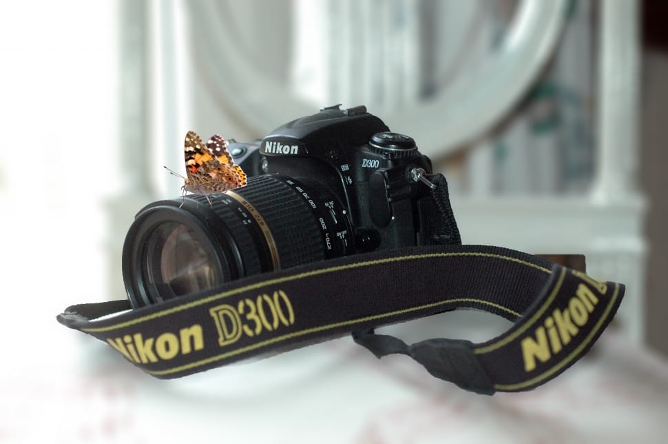 black Nikon DSLR camera inside room preview