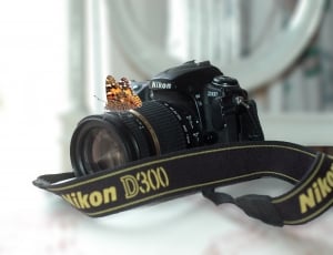 black Nikon DSLR camera inside room thumbnail