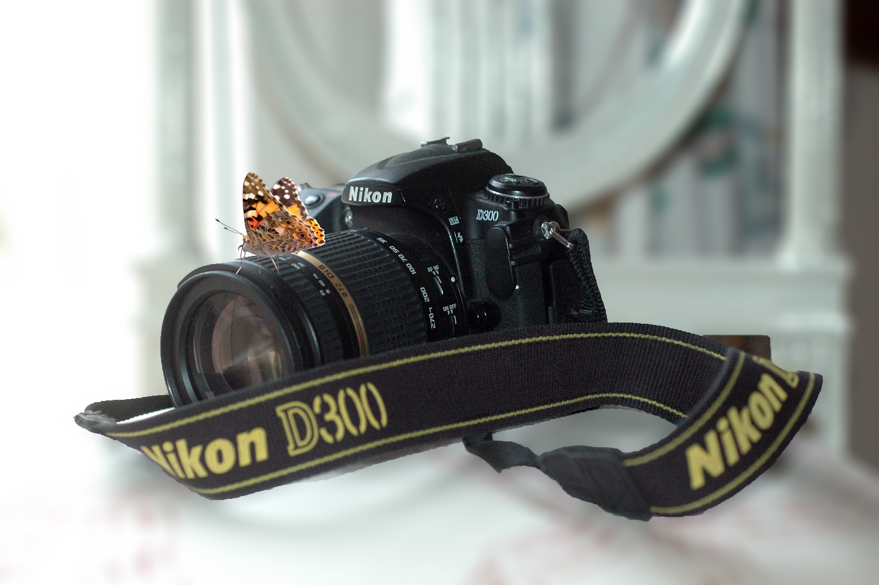 black Nikon DSLR camera inside room