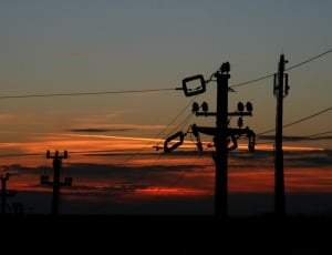 silhouette of electric post thumbnail