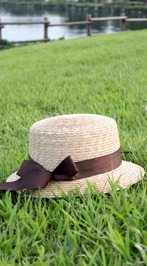 brown and black hat on green grass field thumbnail