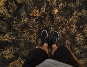 Person Standing on the Brown Grass thumbnail