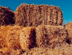 Hay, Farm, Nature, Brown, Old, Country, agriculture, farm thumbnail