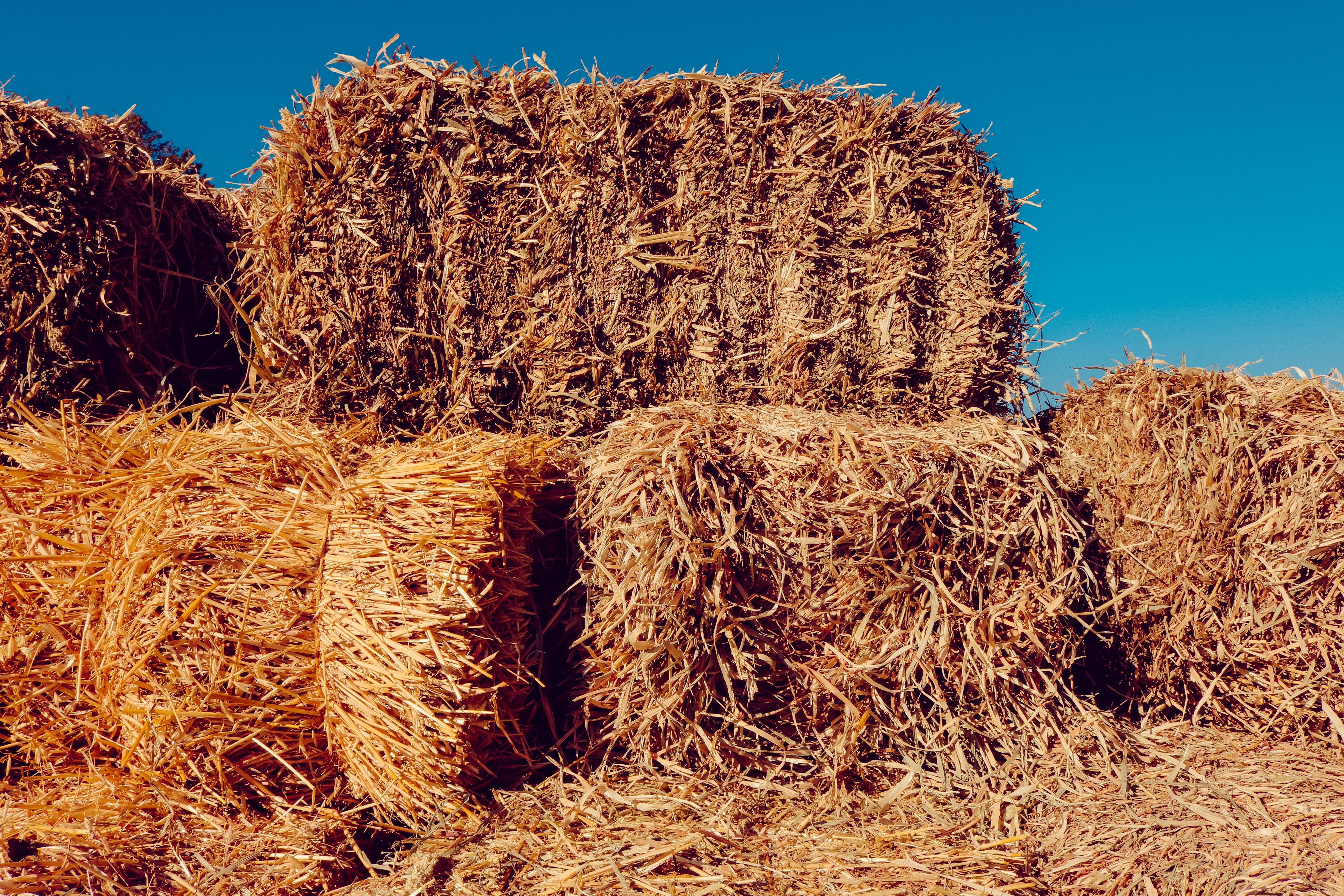 Hay, Farm, Nature, Brown, Old, Country, agriculture, farm