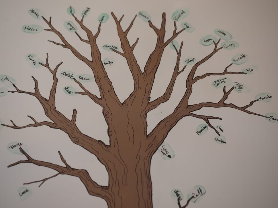 brown tree illustration preview