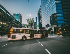 white bus on city road during dawn thumbnail