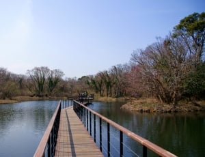 photo of brown wooden dock in a lake during daytime thumbnail