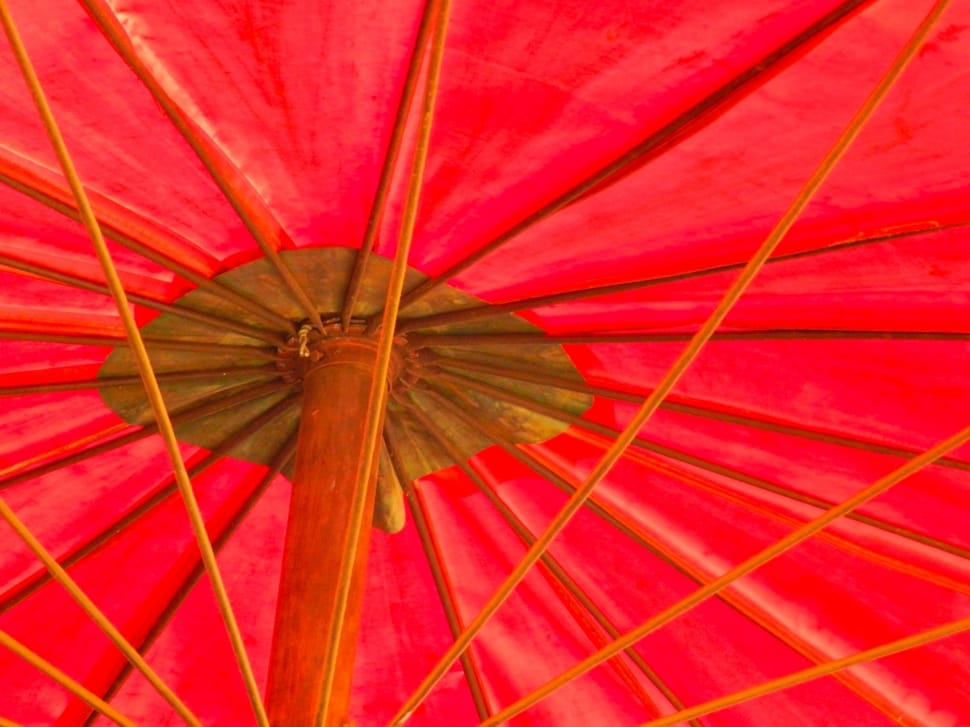 red and brown umbrella preview