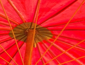 red and brown umbrella thumbnail