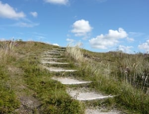 green field and concrete stairs thumbnail