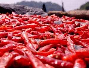 red dried chili lot thumbnail