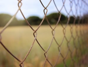 brown metal chain fence thumbnail