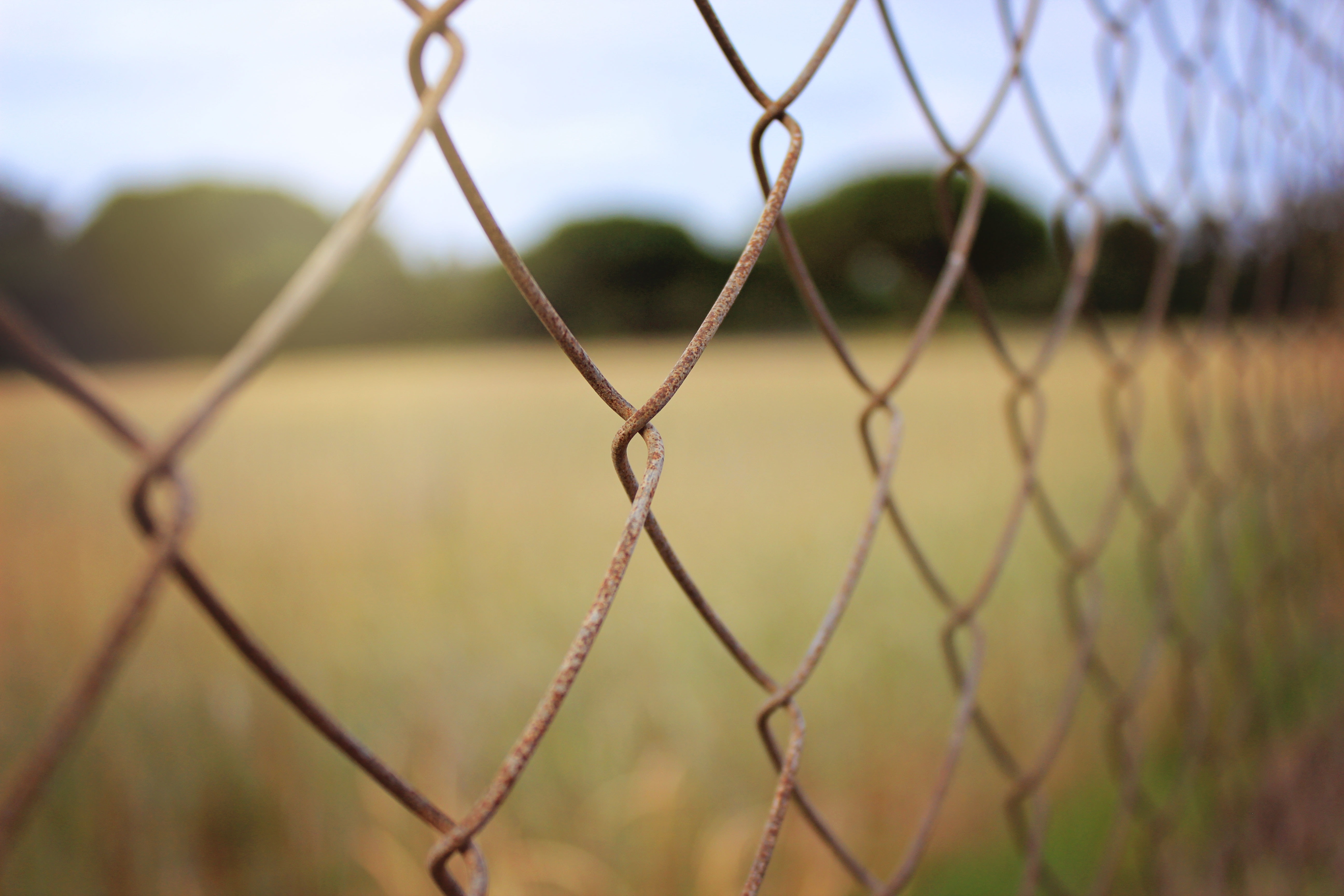 brown metal chain fence