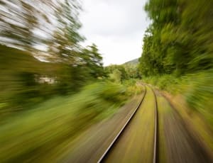 green leaf trees and gray metal train track thumbnail