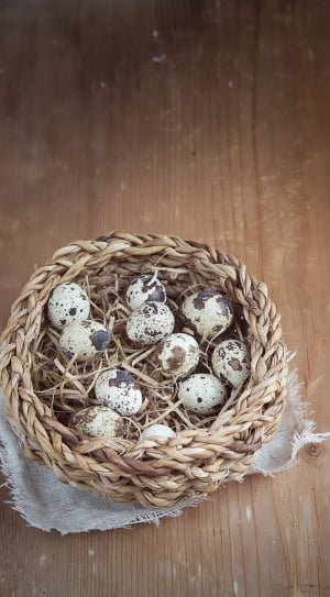 Egg, Basket, Small Eggs, Quail Eggs, wood - material, indoors thumbnail