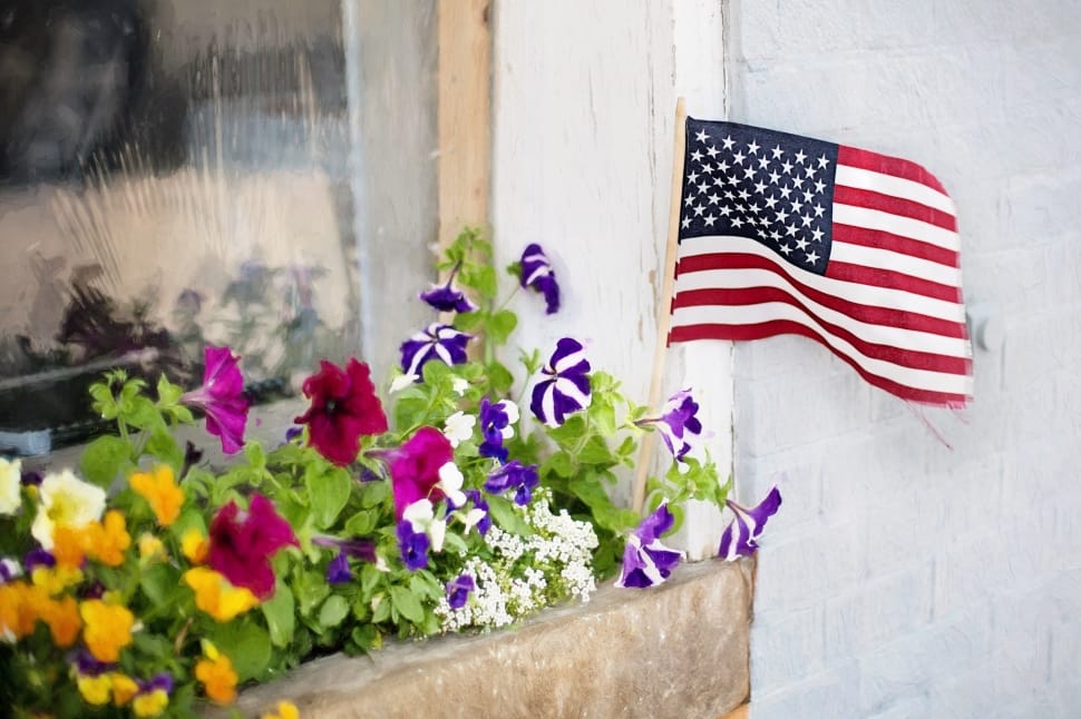 Flowers, American Flag, Fourth Of July, patriotism, striped preview