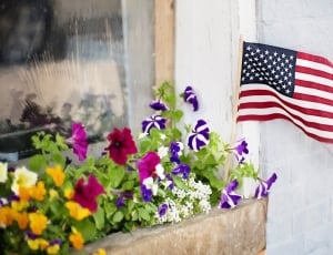 Flowers, American Flag, Fourth Of July, patriotism, striped thumbnail