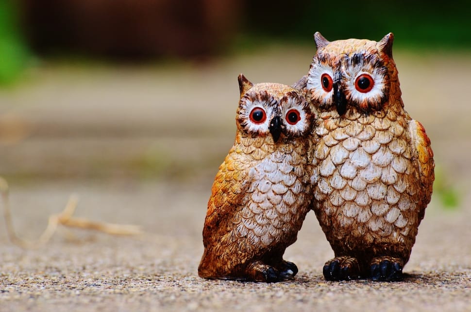 2 brown wooden owl carvings preview