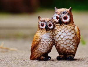 2 brown wooden owl carvings thumbnail