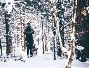 person standing beside dog surrounded by snow covered trees thumbnail