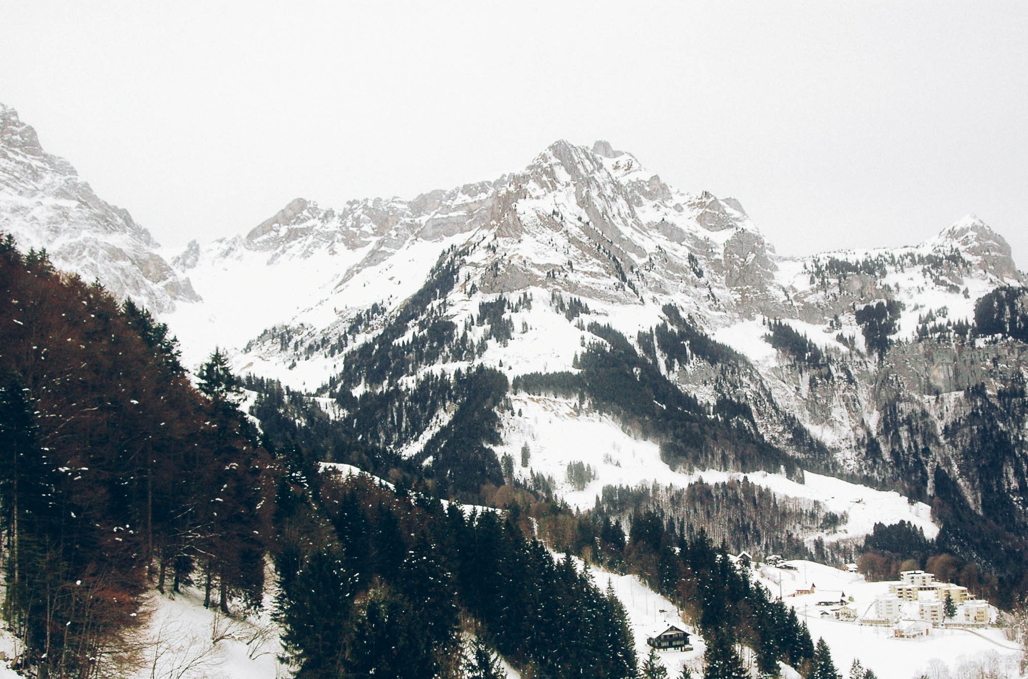 panorama photography of snow coated mountain range