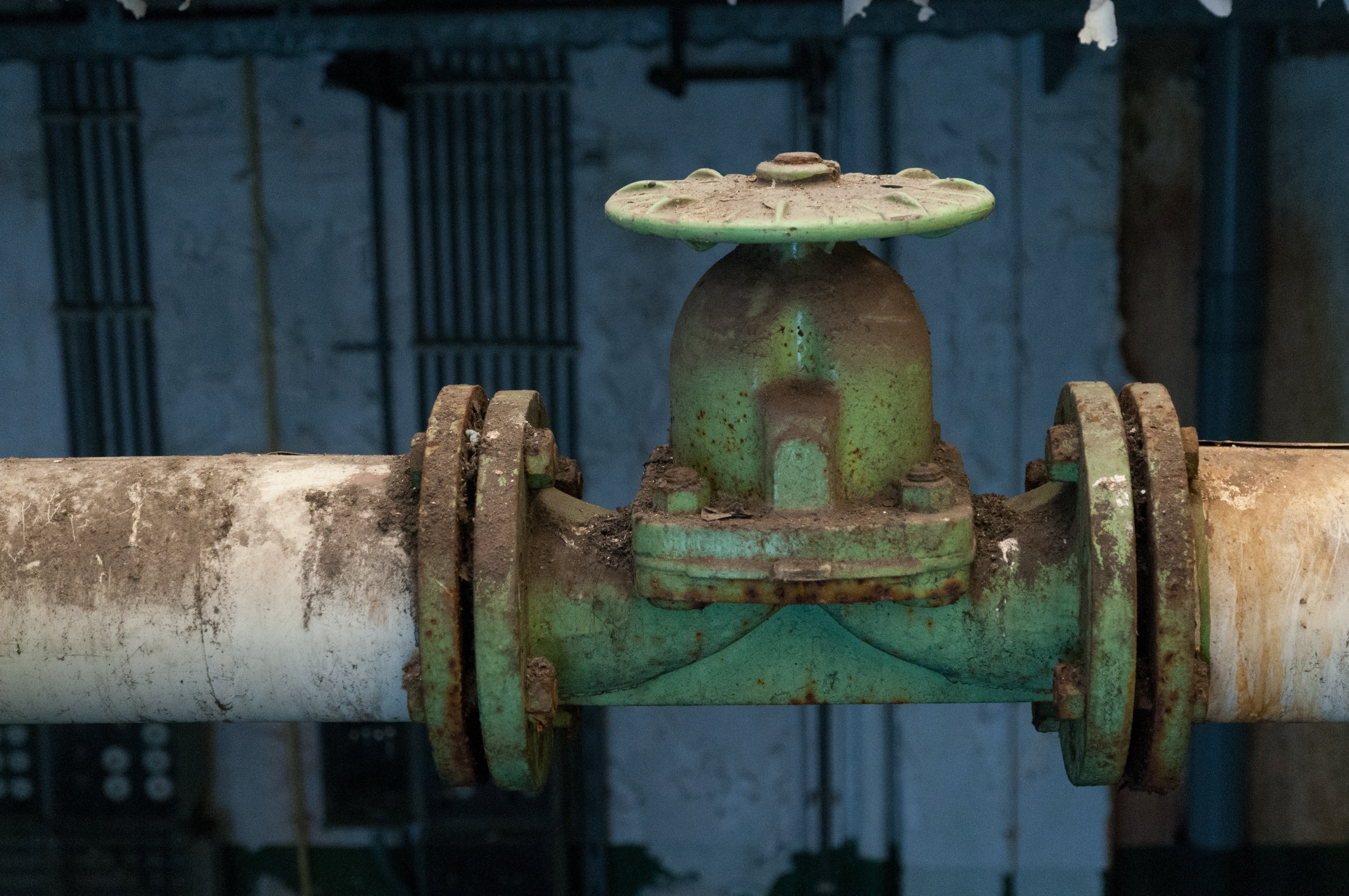 green and white valve