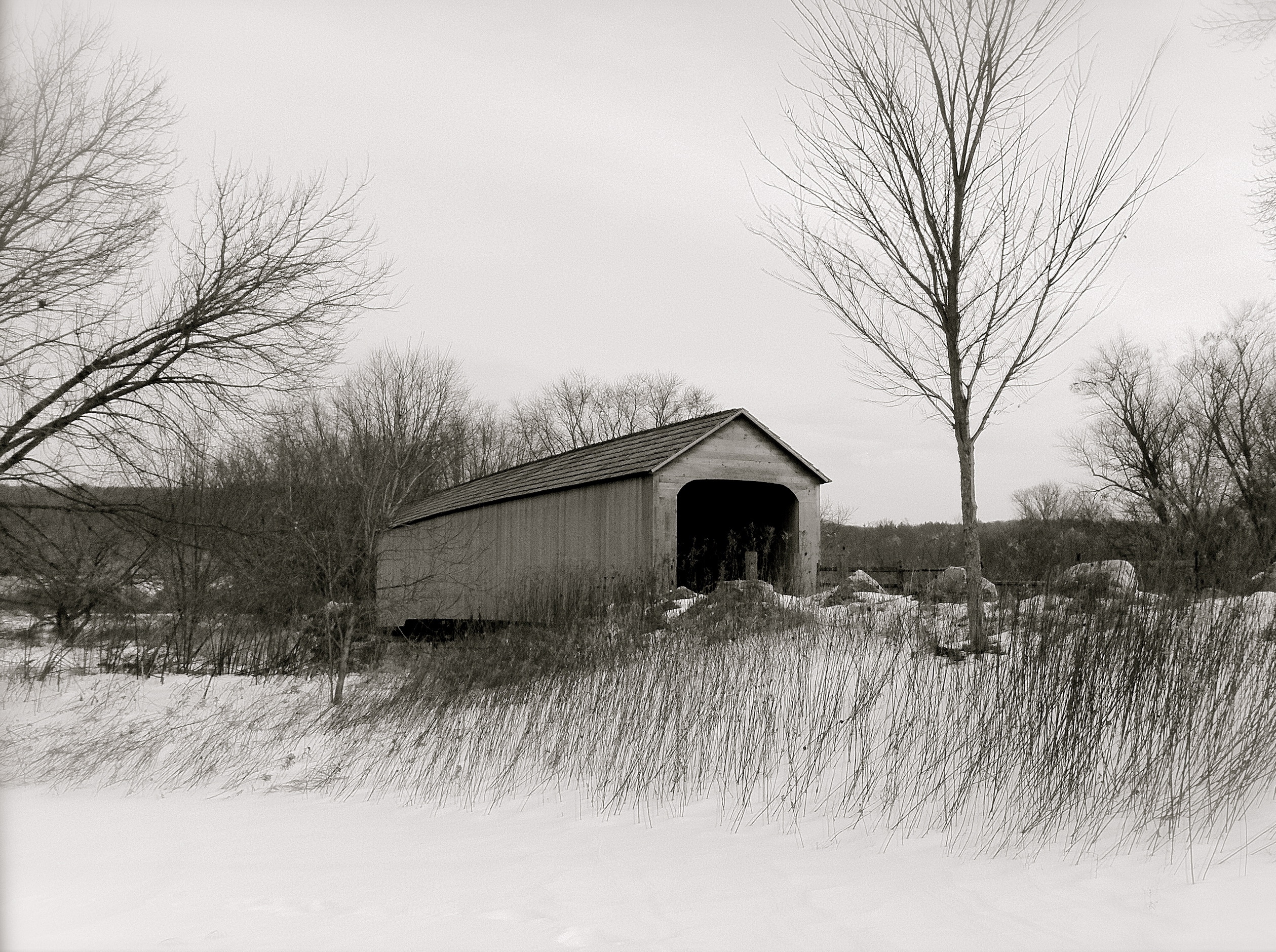 white barn