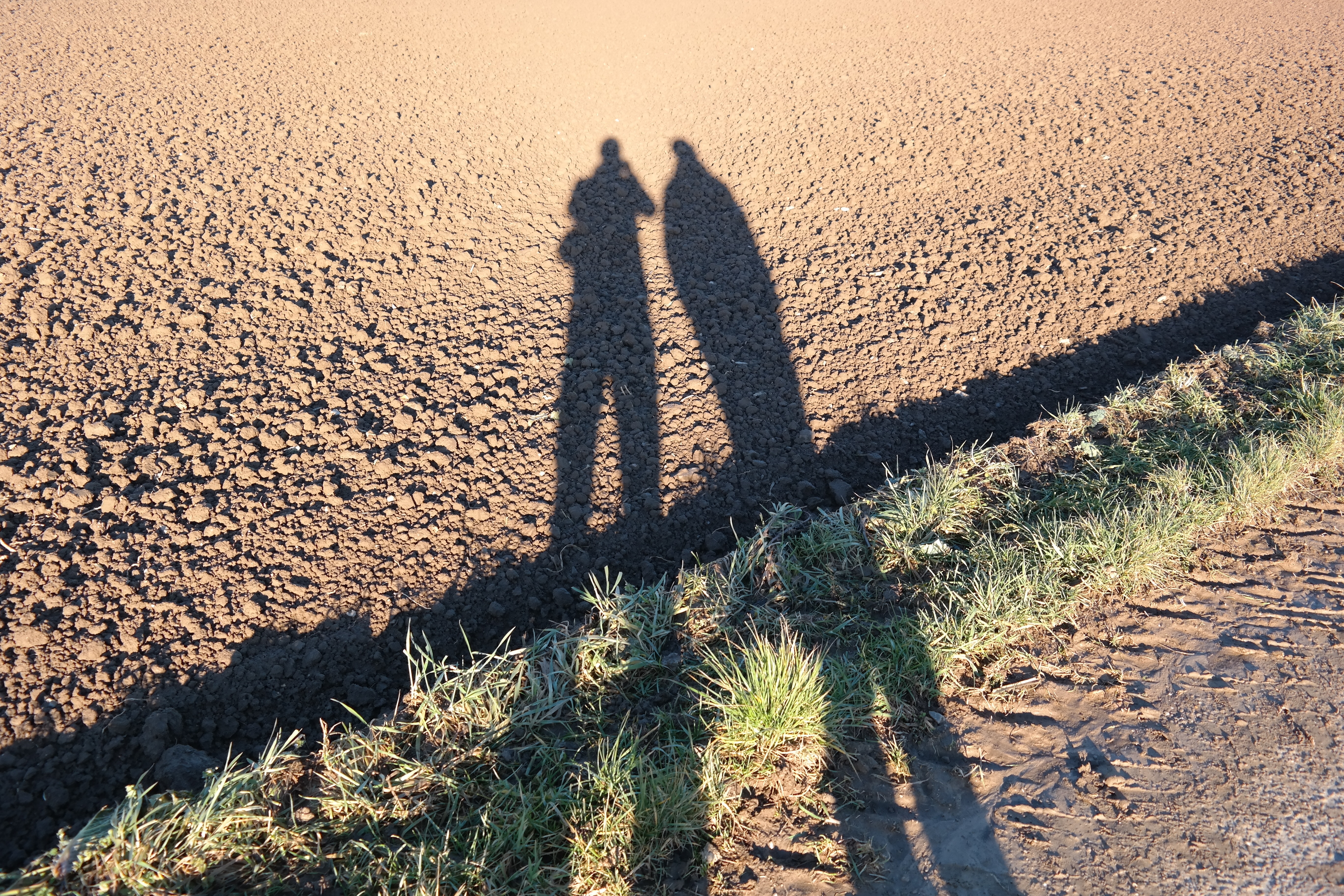 two shadows of two person standing side by side during day
