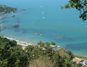 top view of sea surrounded by trees thumbnail