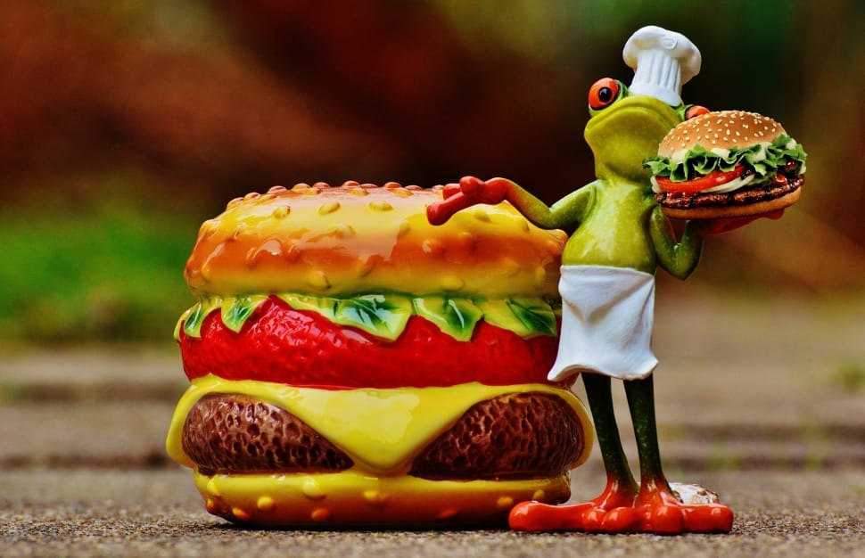 Hamburger, Frog, Cheeseburger, Cooking, food and drink, vegetable preview