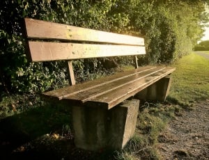 Lonely, Rest, Sun, Sit, Back Light, Bank, wood - material, day thumbnail
